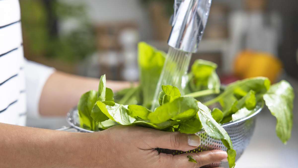 Many wash salad incorrectly – and lose valuable vitamins unnoticed