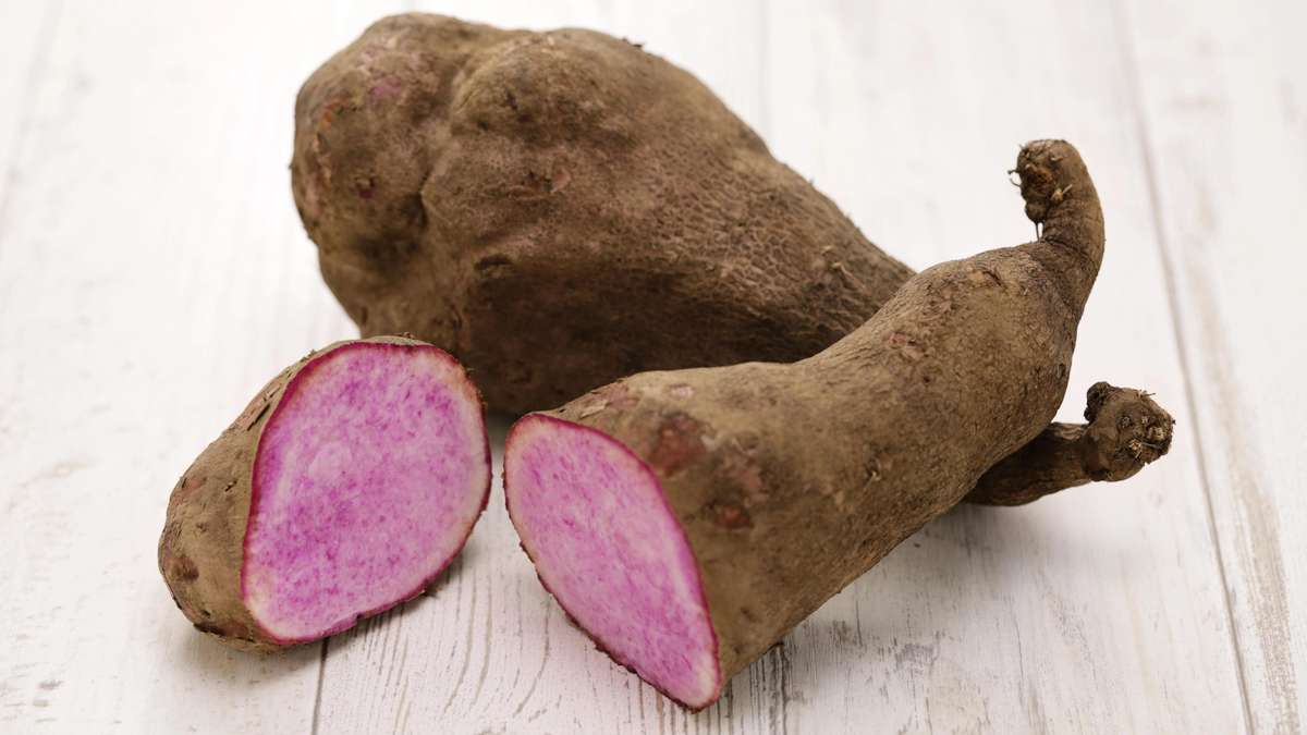 Ube is the new hype vegetable: Can you grow the purple root yourself?