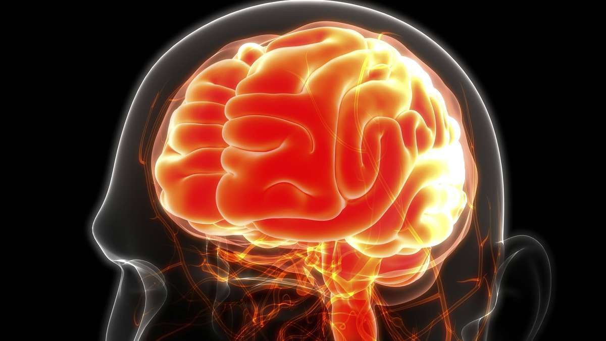 Brain ages at 40: Six habits that accelerate decay – and what helps against it