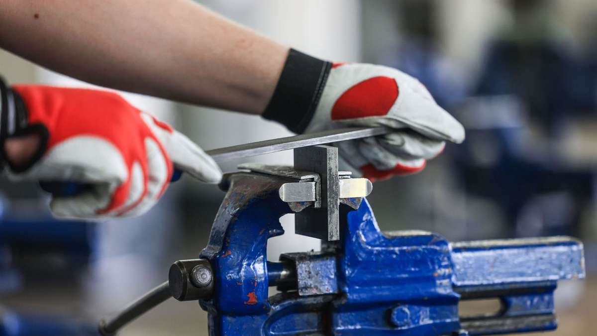 Trainee professions: IT crashes, automotive mechatronics specialist and MFA defend 1st place
