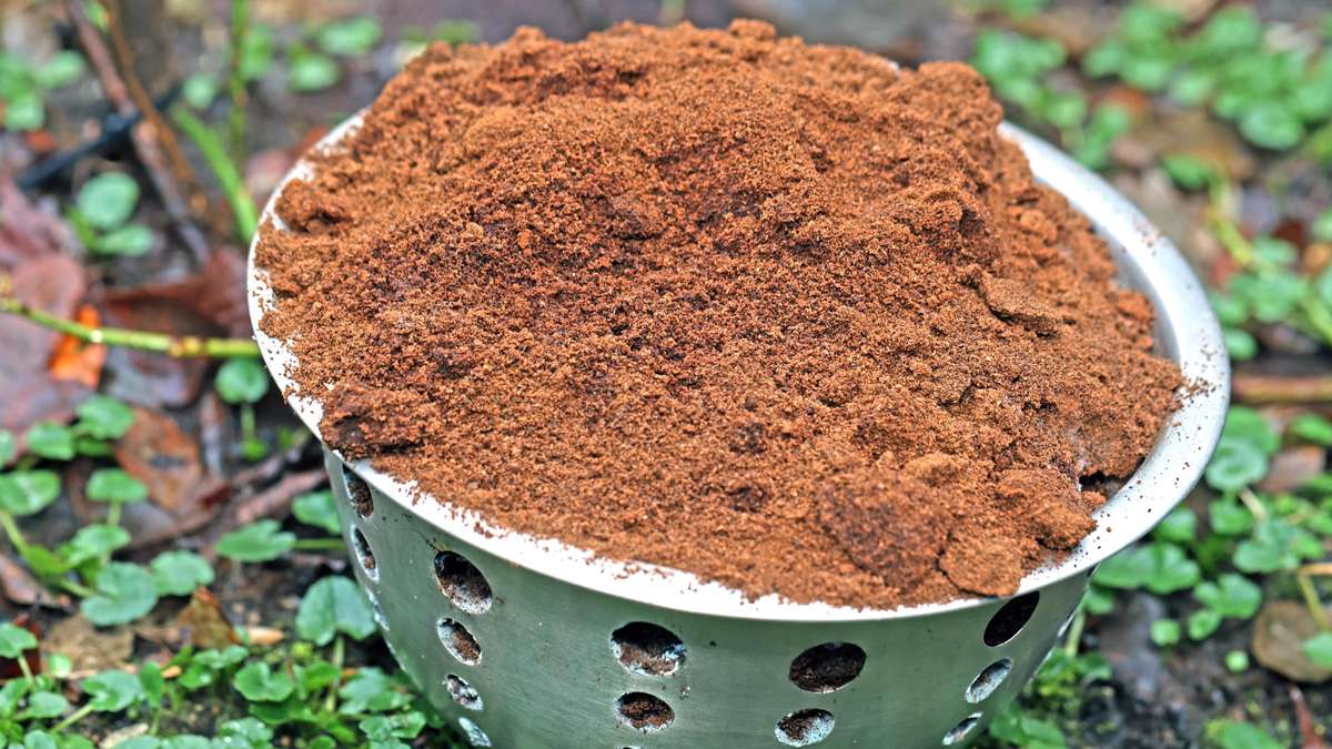 Grandma's Wisdoms under Scrutiny: The 7 Greatest Garden Myths Disenchanted