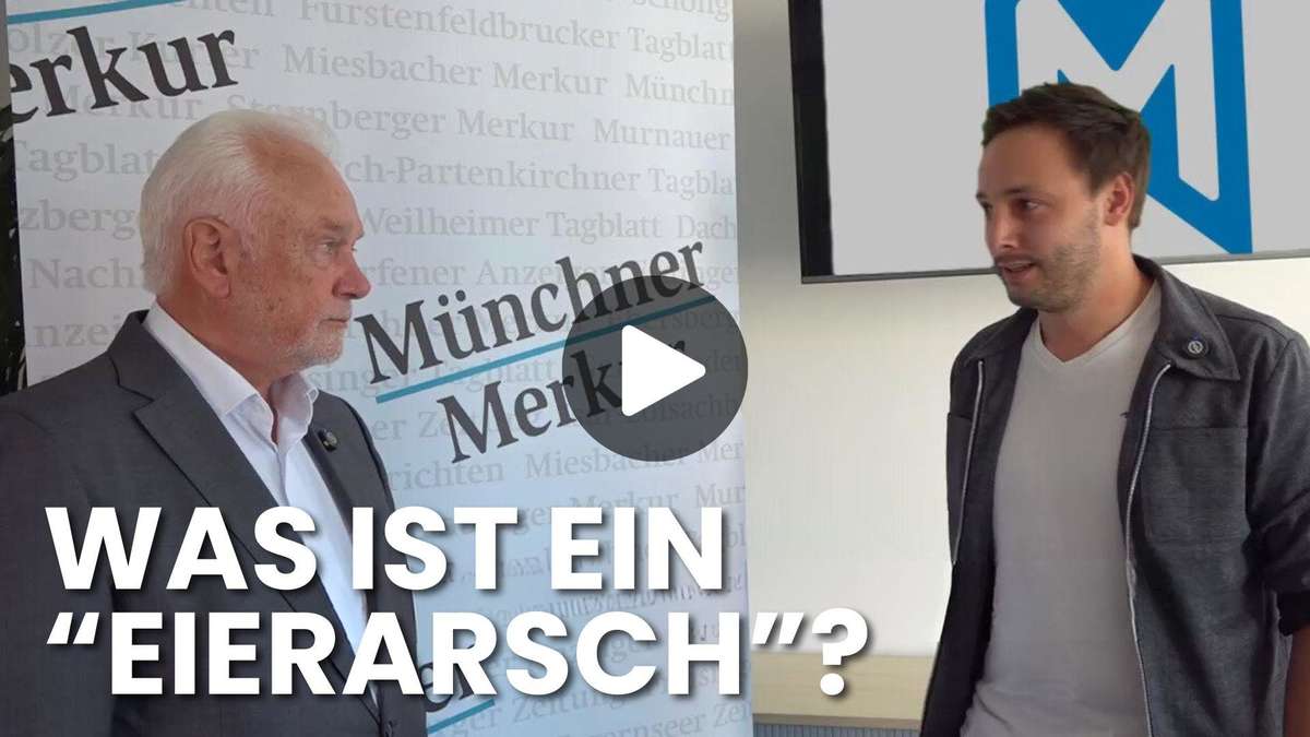 Kubicki on “politician paragraph” 188: “If you say imbecile, you have the image of Habeck in mind”