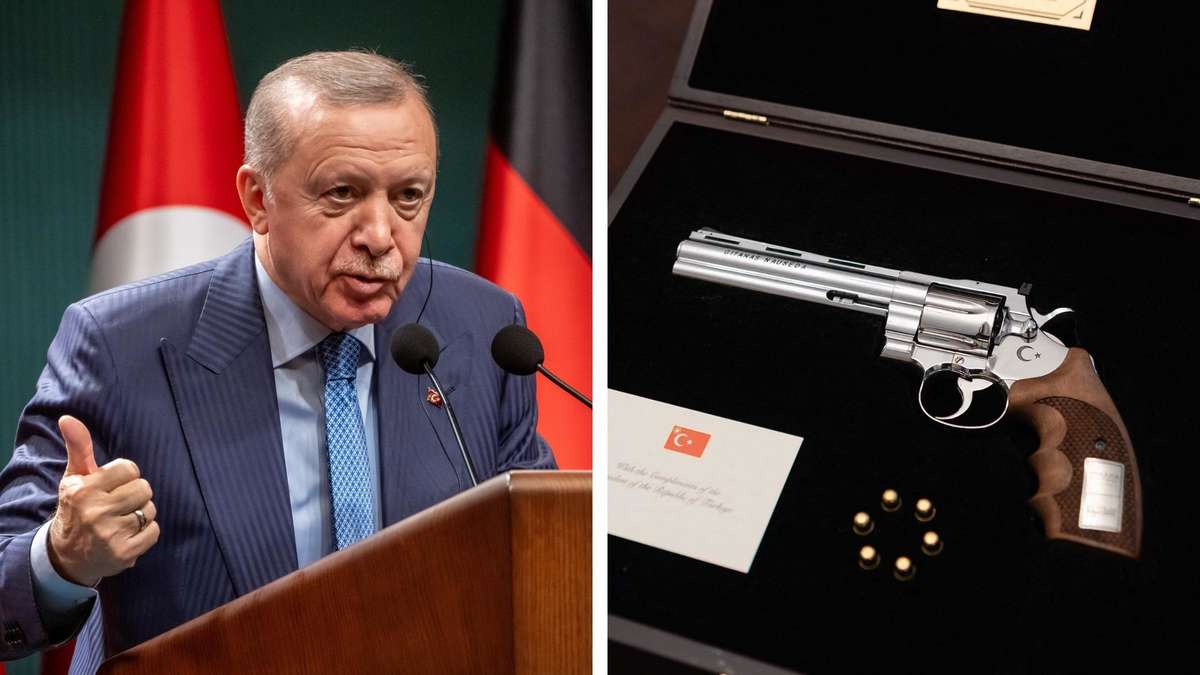 ‘It’s just a gift’: Analyst slows down revolver debate after NATO summit