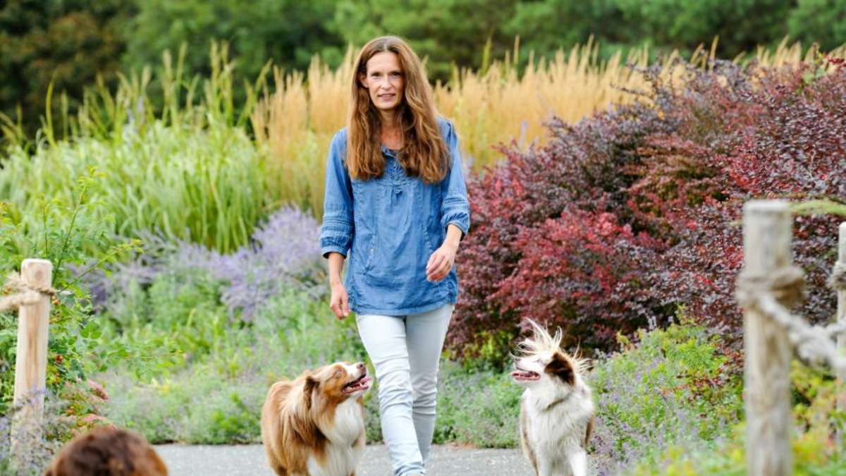 Why I Never Go Home as a Dog Owner Without These 8 Drug Store Products