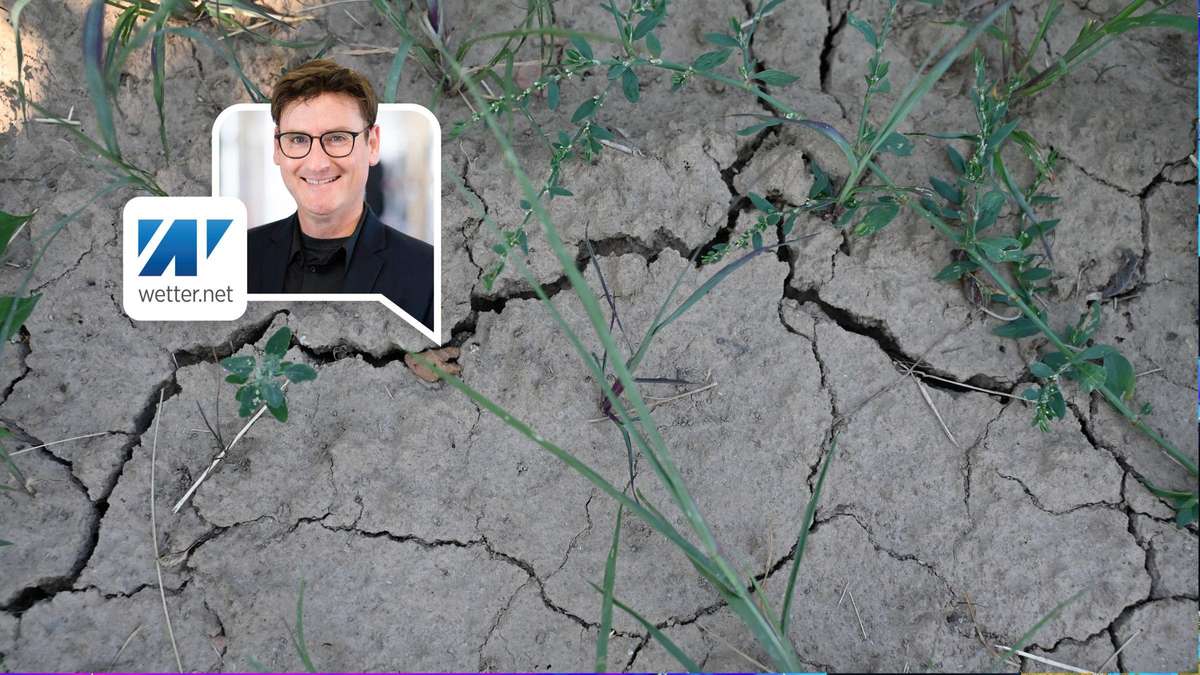 Atlantic air displaces the heat – but weather change does not solve the drought problem