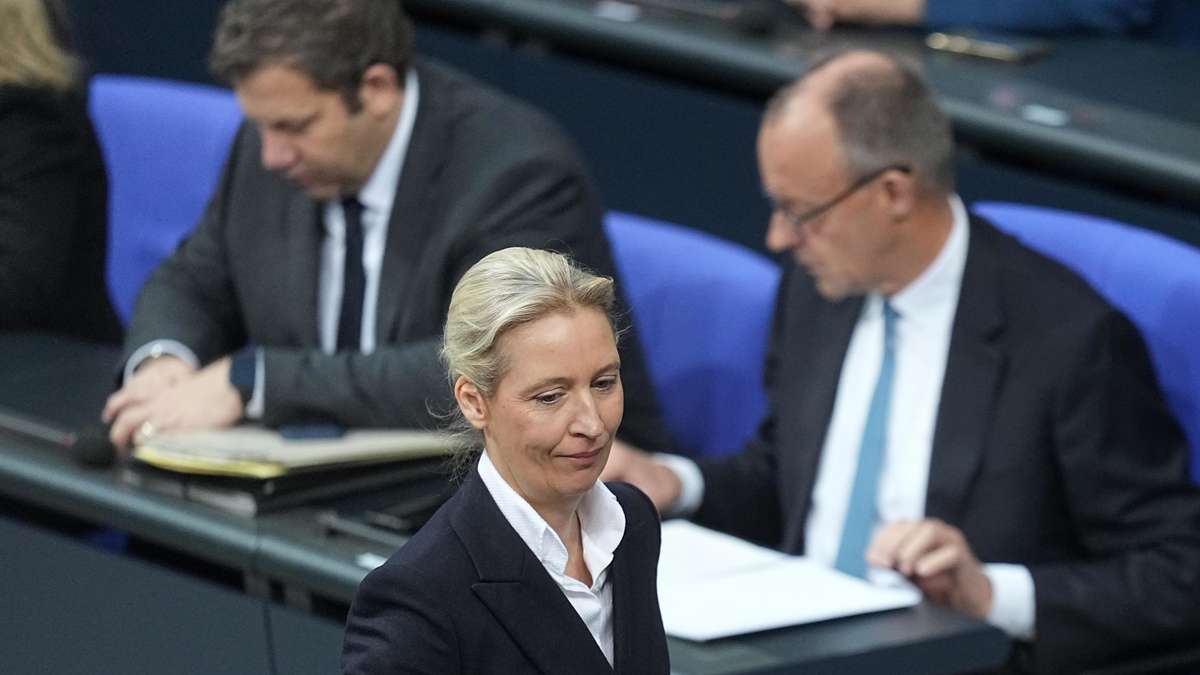 Billion hole in the AfD program: economists warn of 2.2 billion euros financial gap per year