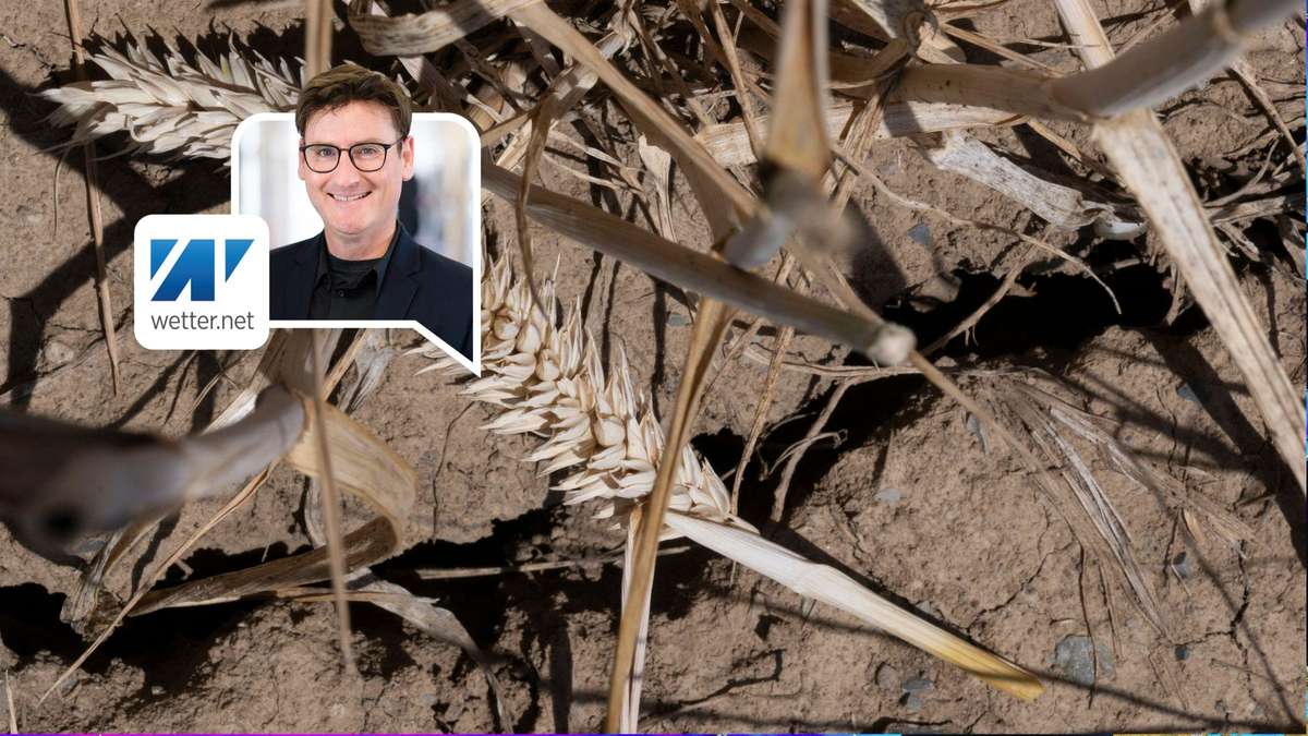 Heat is hard on Germany – Situation could get worse