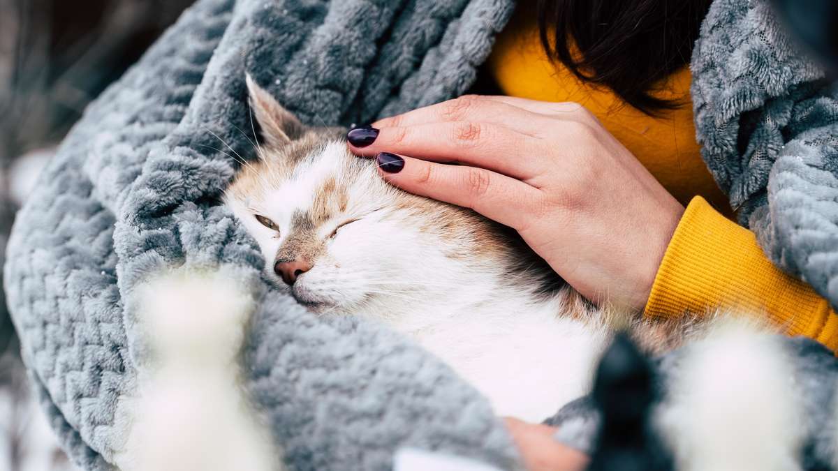 Losing a beloved animal hurts – there are many different ways that can help