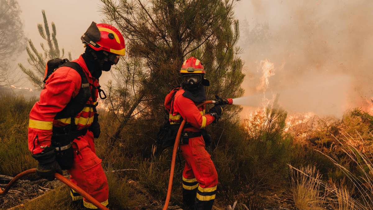 Southern Europe in flames: The current situation and its causes in detail