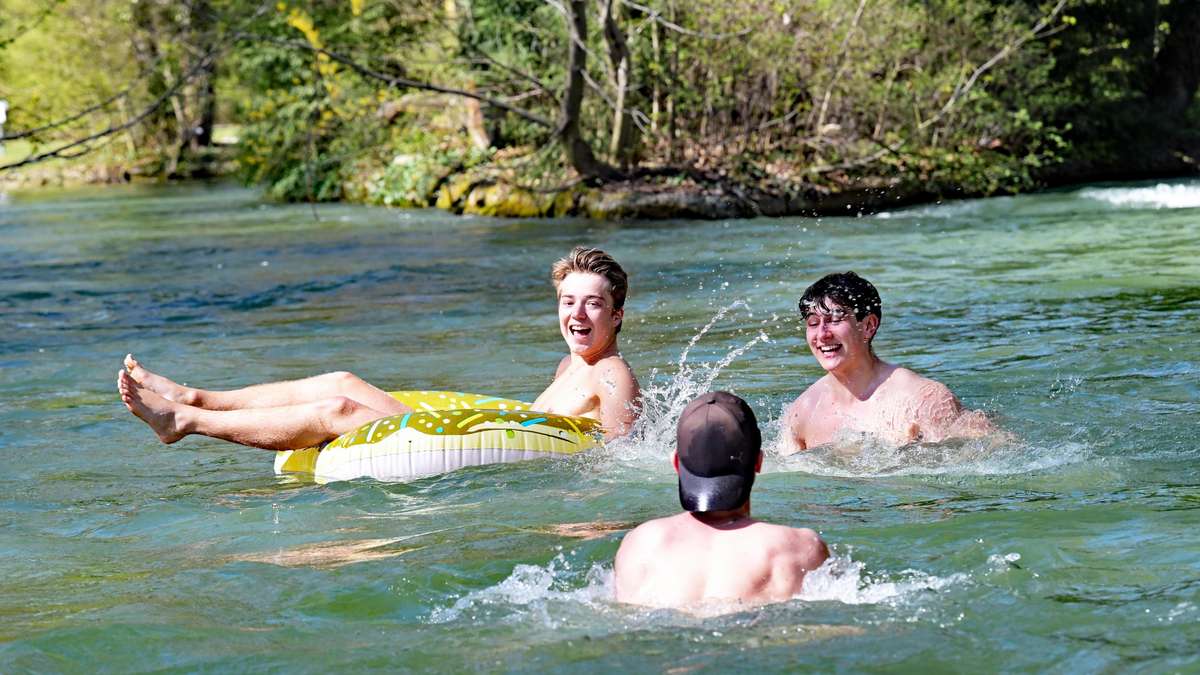 Carnivorous Bacteria and Jellyfish: Microbiologist Explains What Rule of Thumb He Follows When Bathing