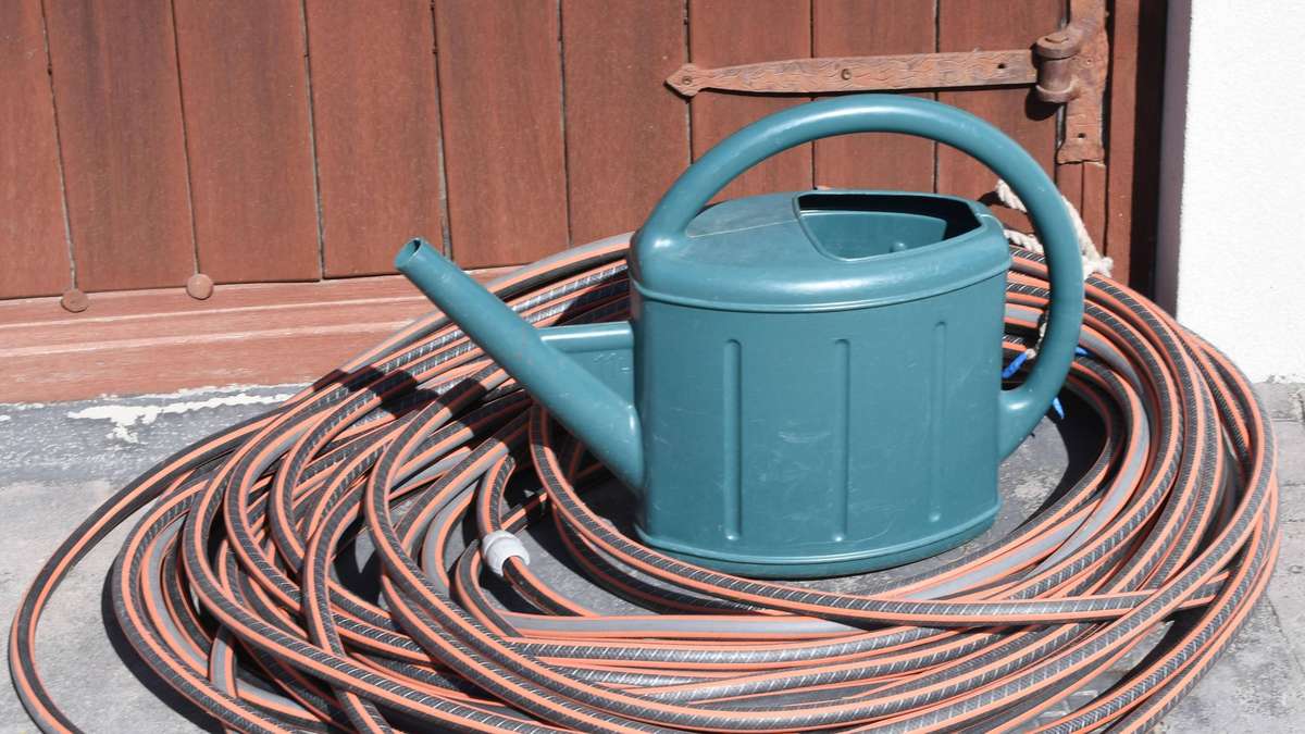 Drought threatens the garden: Four emergency tips that you must now heed
