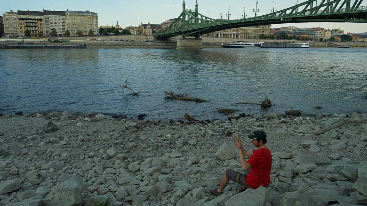 Massive drought disaster in Hungary: 150 tonnes of fish died
