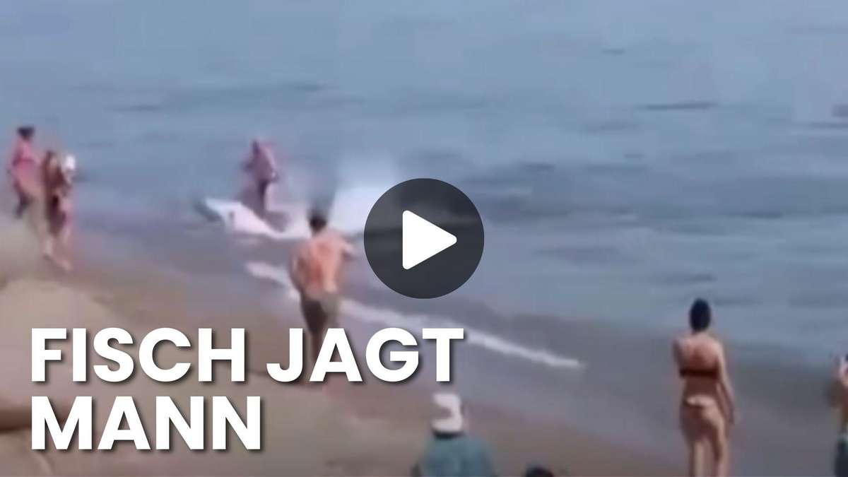 Panic on the beach of Marbella – bathing guest flees