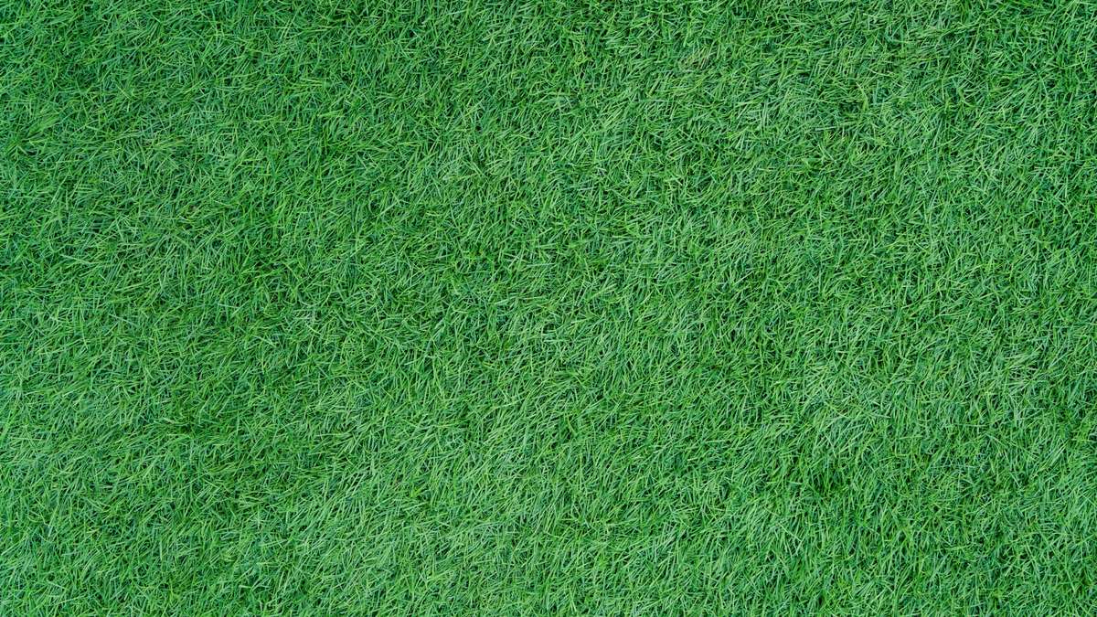 Spray green lawns? This US trend causes head shaking