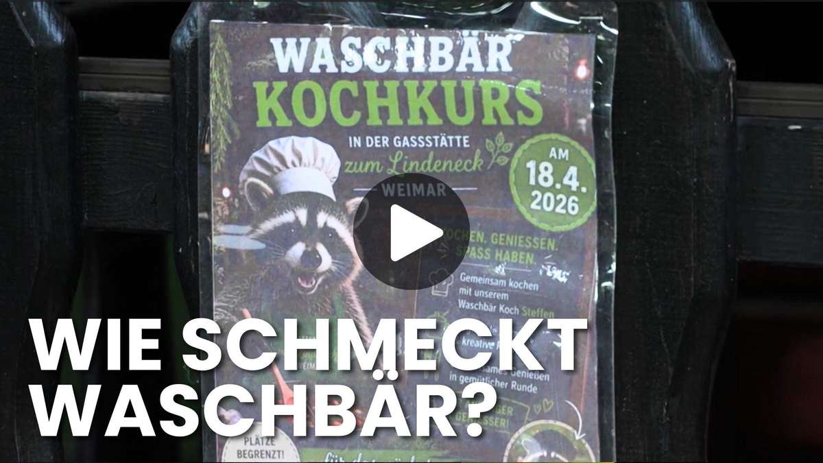 Raccoon on the plate: Extraordinary cooking course to promote species protection