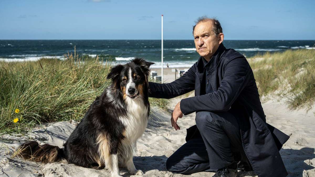 People and Animals on Sylt