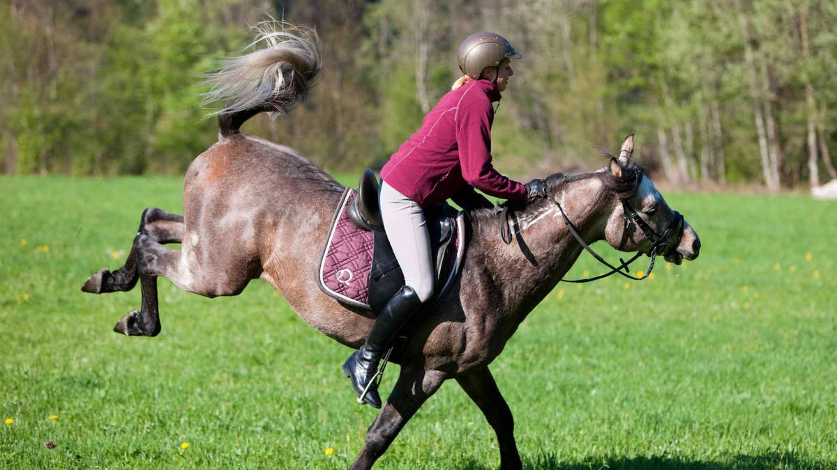 Münchner Merkur