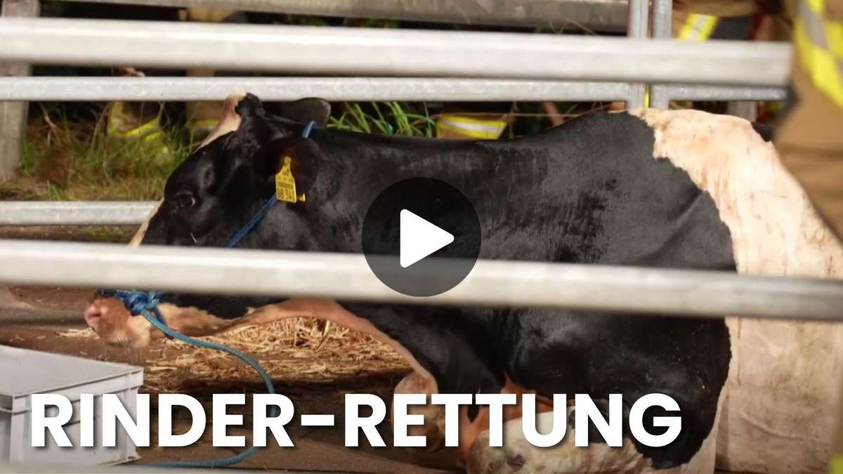 Münchner Merkur