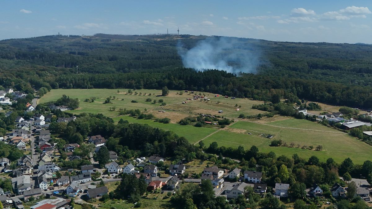 Large fire in Rhineland-Palatinate: forest fire in the Westerwald: fire brigade prevents spreading
