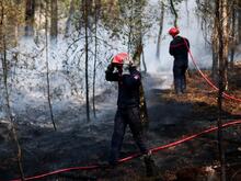 Sea of flames near Paris: A firefighter is said to have caused the fire