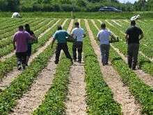 Labour market in the East: East Germany loses many workers without immigration